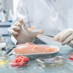 Gıda Güvenliğinde Tartım Teknolojileri Hijyen ve Hassasiyet Bir Arada